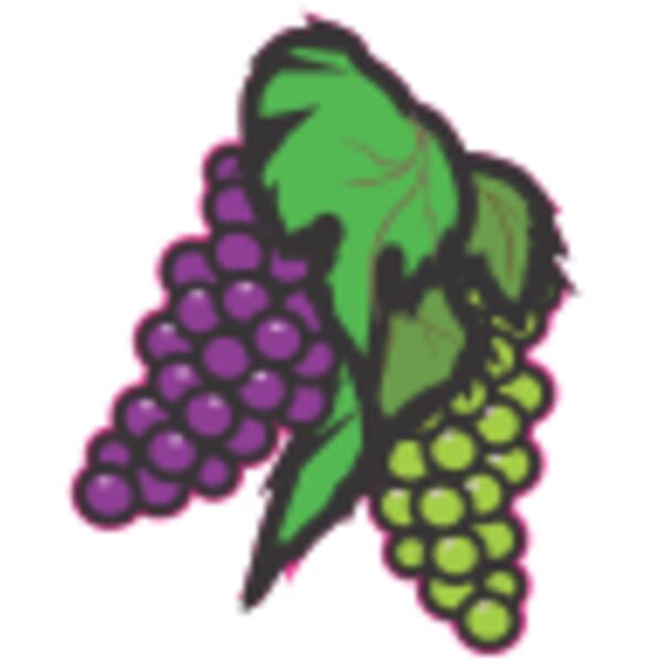 Green and Purple Grapes Thumbnail
