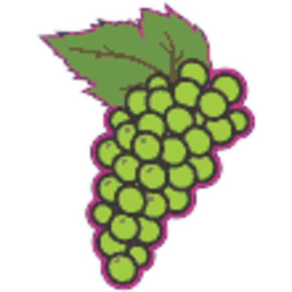 Green Grapes Thumbnail