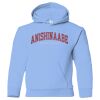 Youth Hooded Sweatshirt Thumbnail